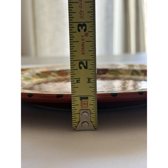 Pier 1 Helena 10.75" Dinner Plate Hand Painted Earthenware Discontinued EUC - Picture 11 of 11